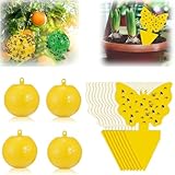 Large gamme d'applications pour une utilisation polyvalente : ces pièges collants sont parfaits pour une utilisation dans les pots de fleurs, les balcons, les cours, les potagers, les vergers, les jardins, les jardins d'enfants, etc