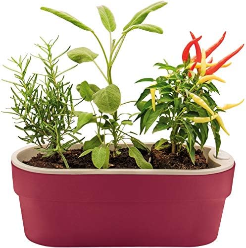 Vaso Horta p/Plantas Autoirrigável Jardim Casa Apartamento