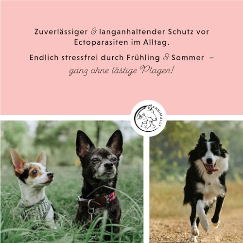Annimally Floh- und Zeckenschutz Spot ON für Hunde - Effektives Zeckenmittel für Hunde, 3 Monate Langzeitschutz Flohmittel & Zeckenschutz - (30-50kg)