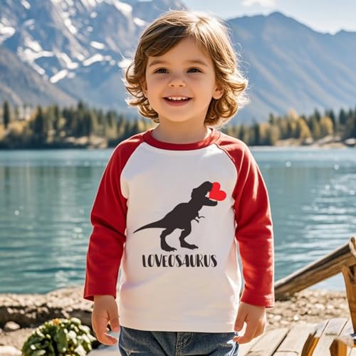 Boys Girls Valentines Shirt Toddler Love Heart Monster Truck Dinosaur Graphic Long Sleeve Raglan Little Kids Top 2-7T4