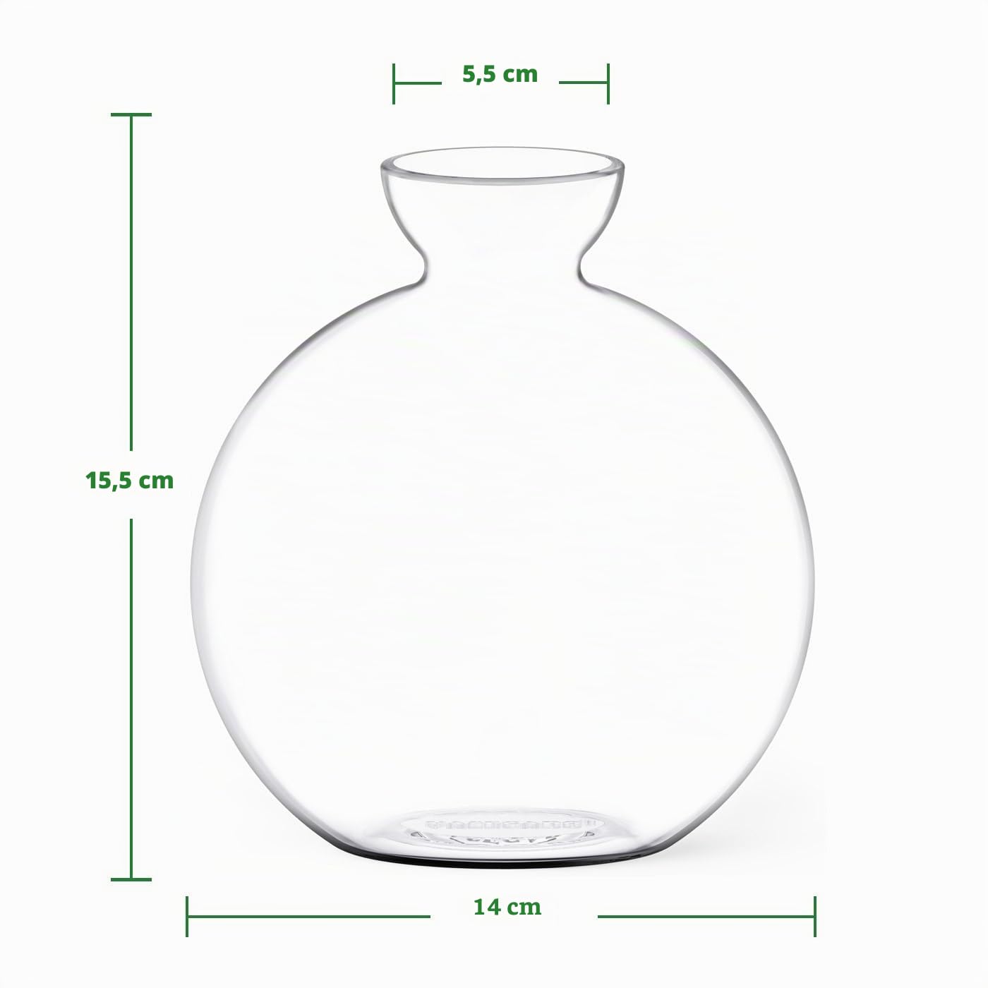Avocado Samenvase, mundgeblasenes Glas-Anzuchtgefäß für den Anbau von Avocados Pflanzen, einzigartiges Startergeschenk für Pflanzenliebhaber