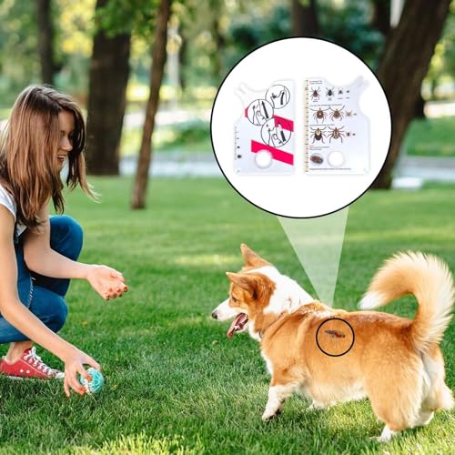 CWPFVQA 2 Stück Zeckenkarten, 1 Stück Kunststoffpinzette, Insektenfangkarte Mit Integrierter Lupe, Zeckenkarte Mit Skala, Zeckenfangset