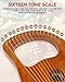 STRICH Lyre Harp, 16 Strings, Mahogany, Copper Saddle Lyre Harp Set with Spare Metal Strings, Tuning Wrench, Black Custom Gig Bag and Manual