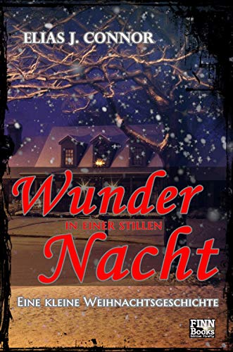Wunder in einer stillen Nacht: Eine kleine Weihnachtsgeschichte (German Edition)