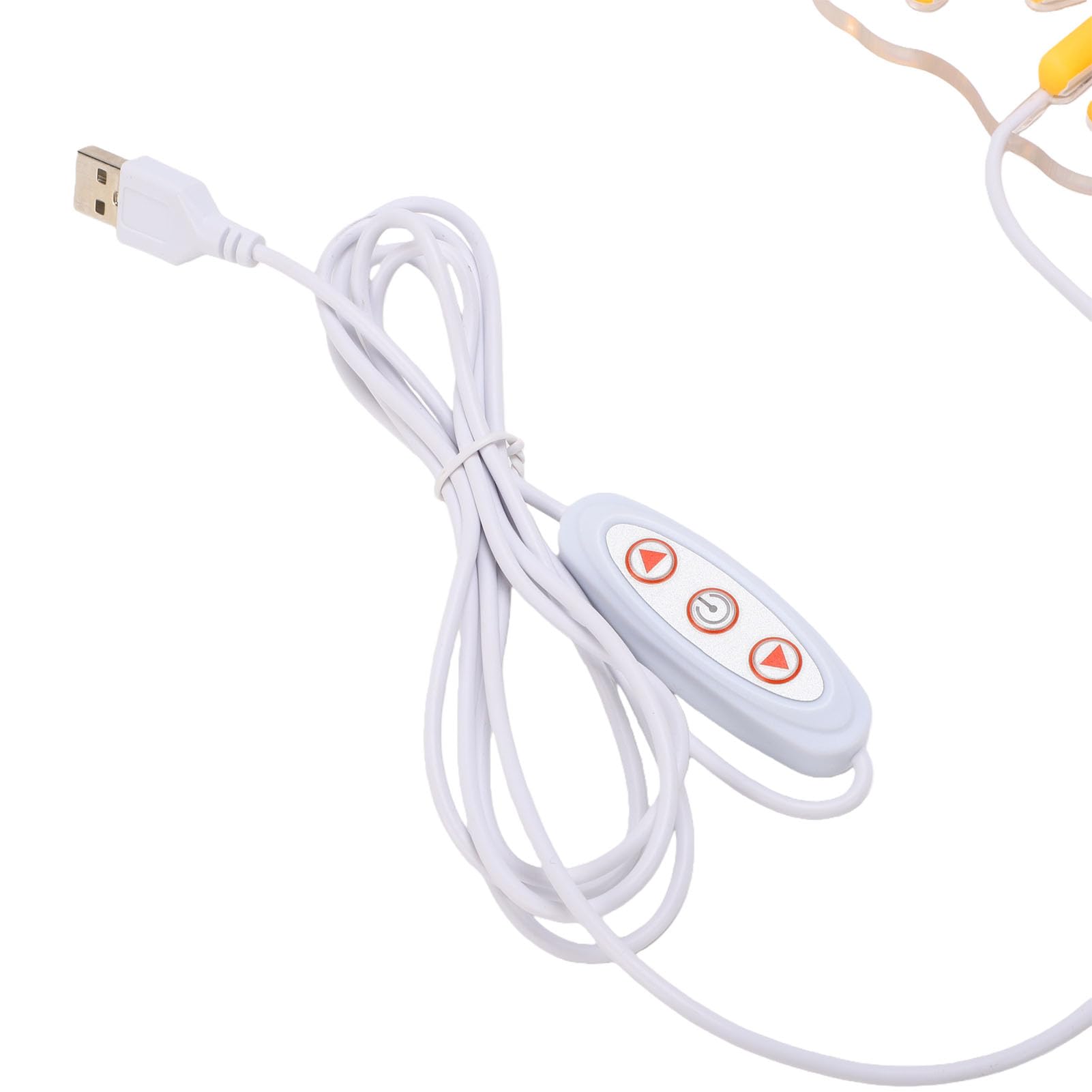 Cryfokt USB Powered Camping Neon Light for Outdoor