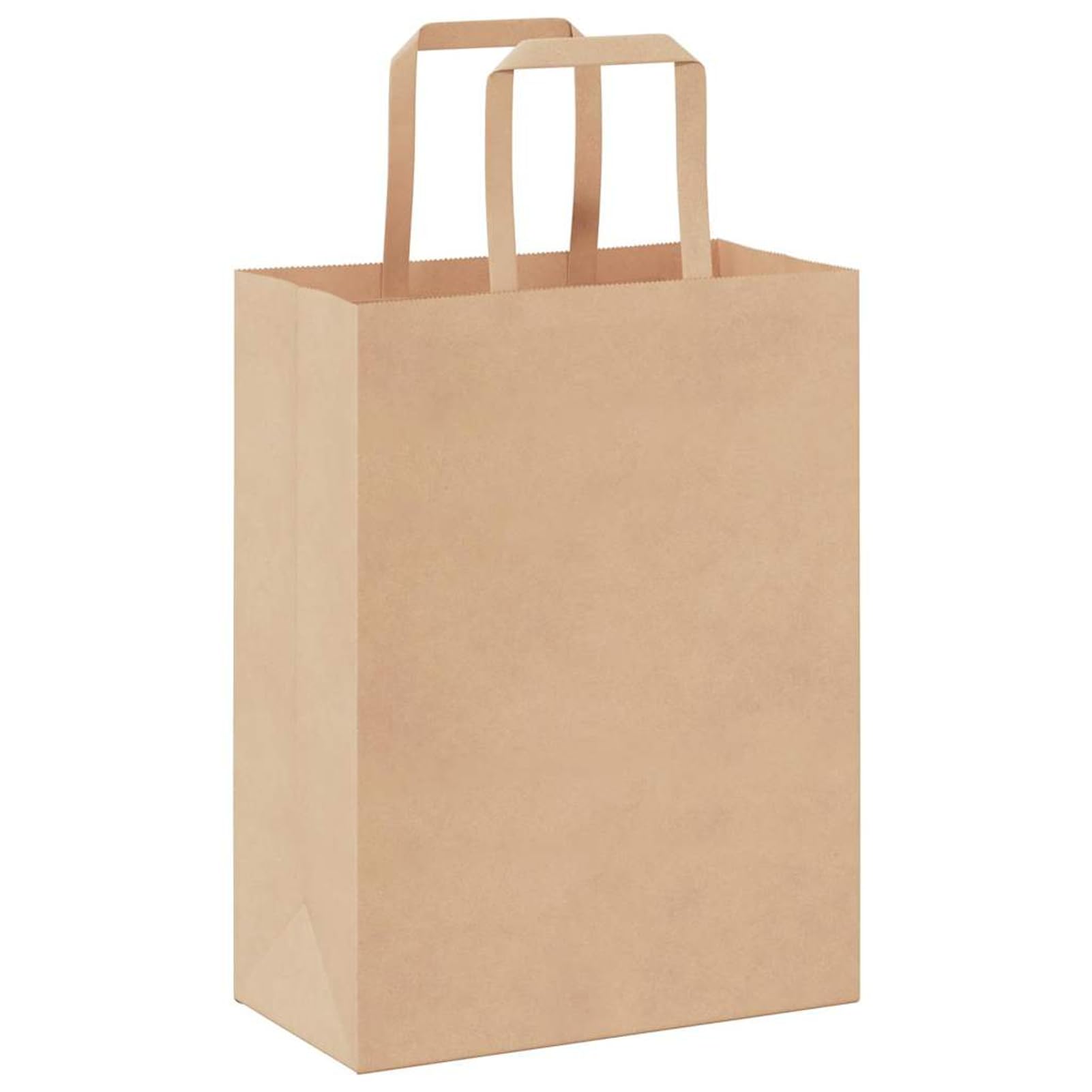 Fecpoo Papierowe torby transportowe 250 sztuk – brązowe, 21 x 11 x 28 cm, z papieru typu kraft nadającego się do recyklingu (80 g/m²), ze stabilnymi papierowymi uchwytami linowymi, idealne do