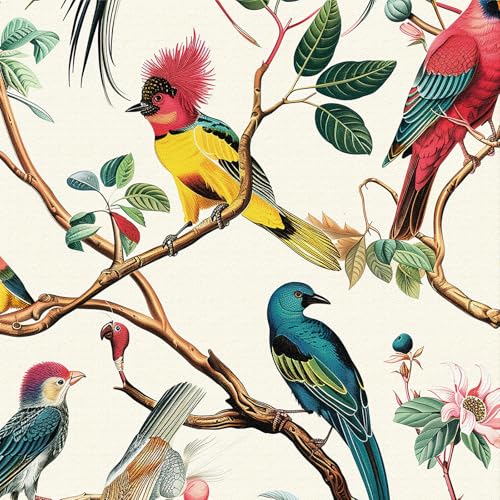 ICYEHAO Self Adhesive Bird Wallpaper, 44 x 600 cm Bird Wallpaper ...