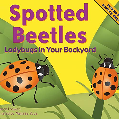 Spotted Beetles by Nancy Loewen, Melissa Voda episode artwork