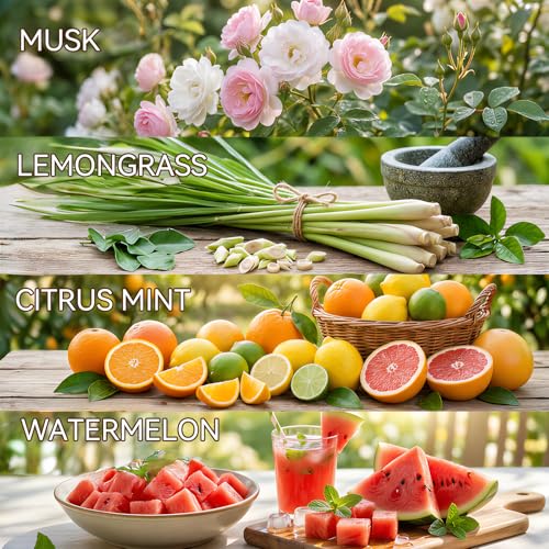 Image of Plug In Air Freshener Refills for Home, Bathroom, 12 Pack 7.92 FL OZ