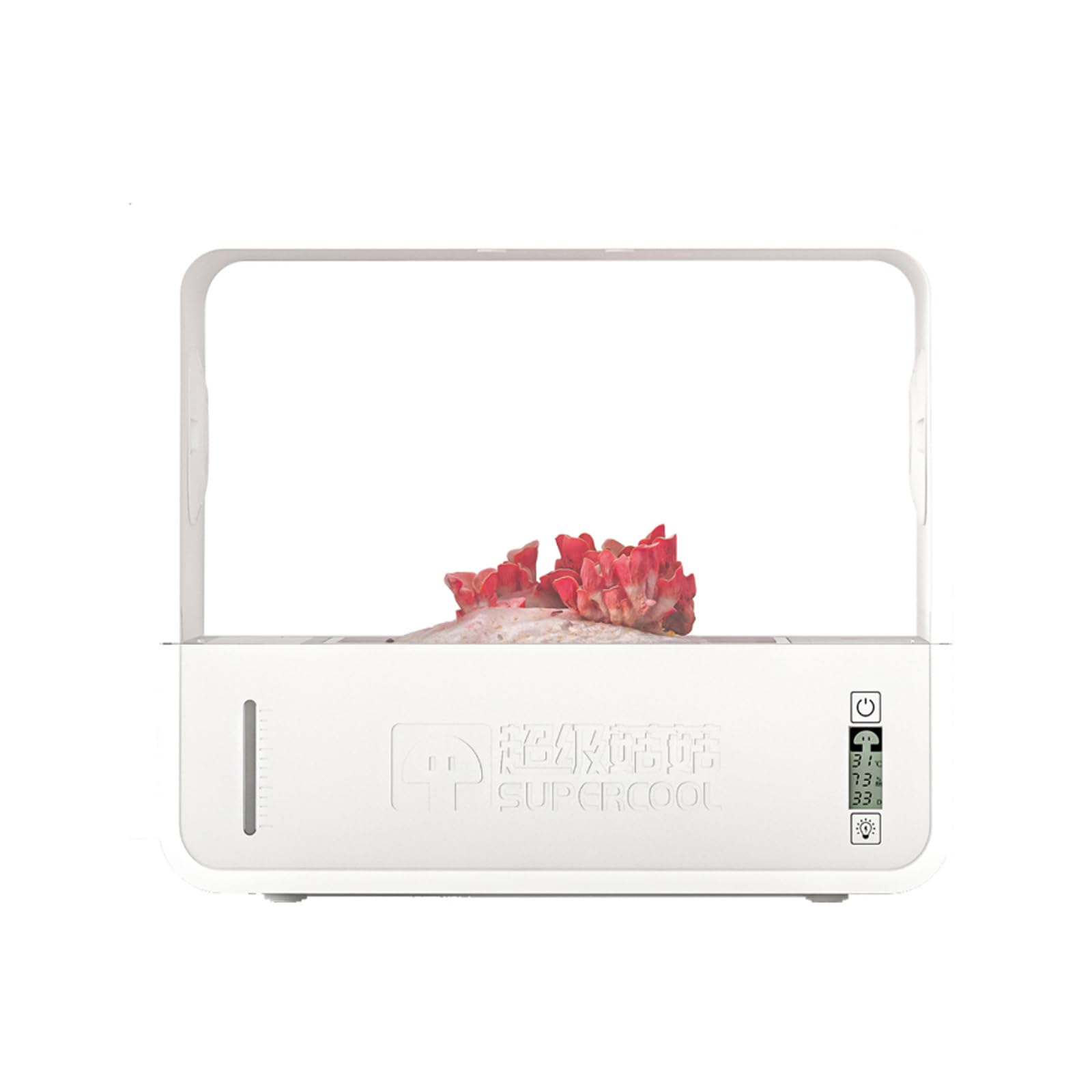 Boîte de Plantation de Champignons intérieure avec Une température et Une humidité légères de Croissance, kit de système de Plantation hydroponique des Champignons