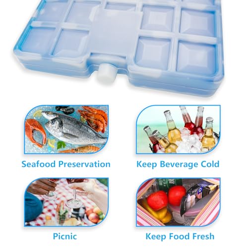 Image of WORLD-BIO Large Reusable Freezer Ice Pack for Lunch Boxes, Coolers, Picnics, Camping, Fishing - 10 x 7.9 x 1.2 Inch