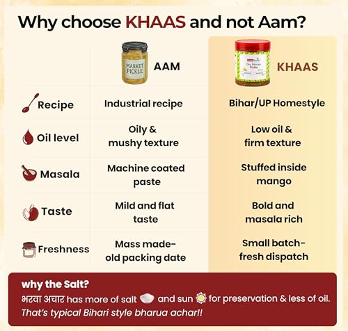 Image of Taste Great Authentic Bihari Dry Stuffed Mango Pickle (Bharua Achar) - 450g | Sun-Dried & Low Oil | Traditional Roasted Masala Sukha Aam ka Achaar | Bihar UP style recipe I Special sealed jar for no spill