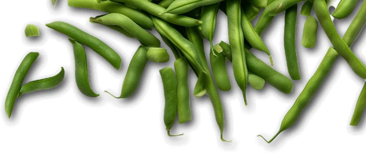 Gvtarra Judías Verdes Cortadas en Tiras, 660g - Imagen 3