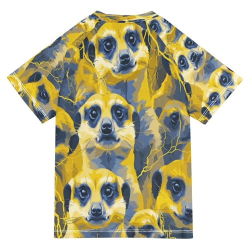 Boys Short Sleeve T-Shirts Lightning Ferret Meerkat Rashguard Kids Swim Shirts Sun UPF 50+2