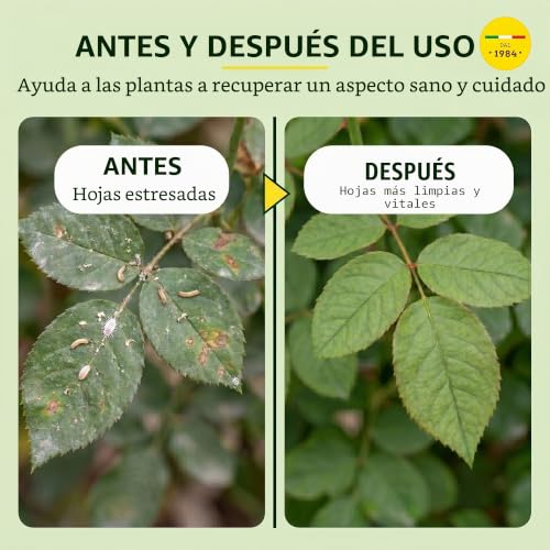 Aceite de neem para proteger tus plantas de terraza en botella de 1L 6