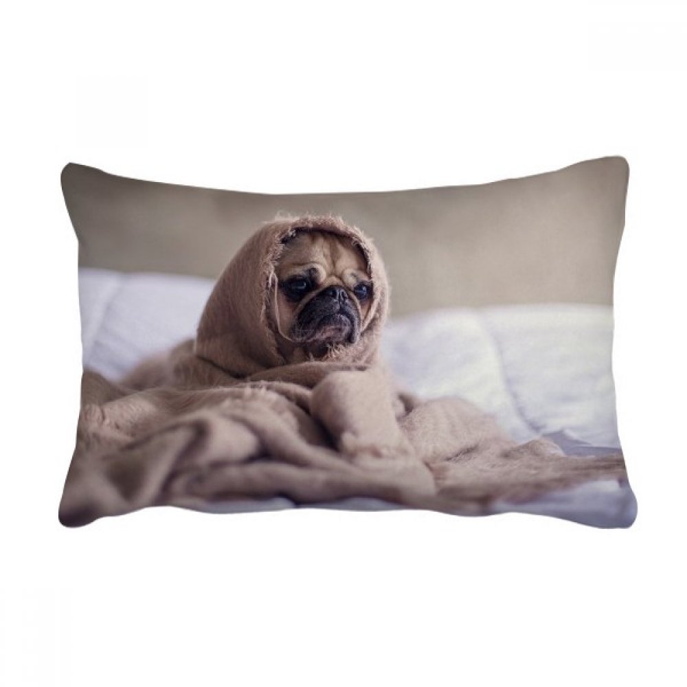 Coussin bouledogue pour soulager le mal de dos sur canapé profond