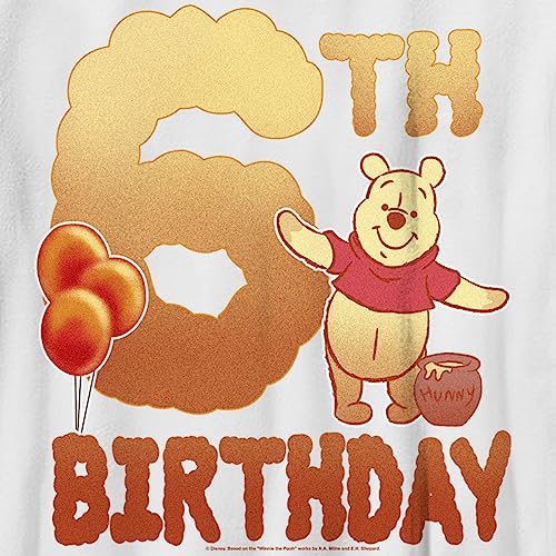 Boy's Winnie The Pooh 6th Birthday Pooh Bear T-Shirt2