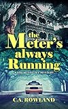  The Meter\'s Always Running: A Haunted City Mystery (English Edition)