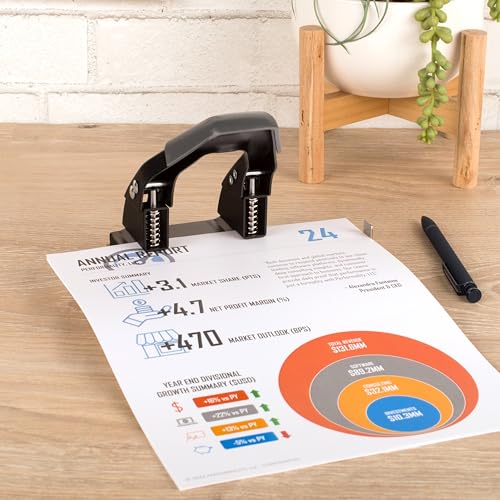 image for Swingline 2 Hole Punch, 28 Sheet Capacity Hole Puncher, Paper Punch, L