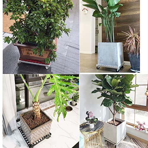 Chariot à plantes robuste avec roulettes à freins et plateau renforcé