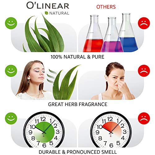 Eucalyptus Essential Oil For Scent Diffusers For Home 3.4 Fl Oz Breathe Essential Oil, Eucalyptus Oil For Diffuser Aromatherapy Oils, Stress Relief Essential Oil Eucalyptus Aromatherapy Diffuser #TOP4