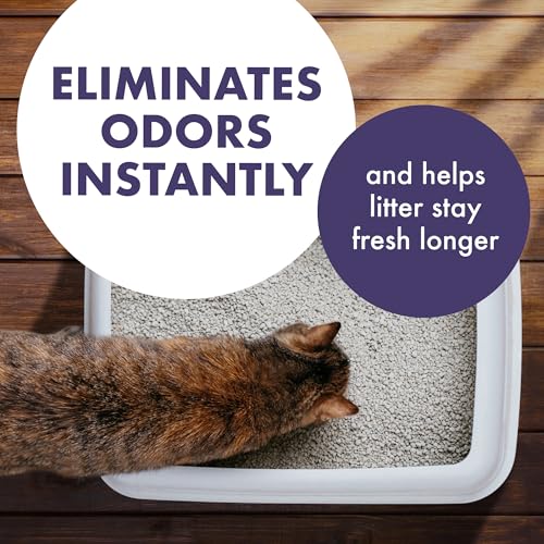 Image of Arm & Hammer Forever Fresh Cat Litter Deodorizer, Wild Lavender, Essential Oils, Baking Soda Odor Neutralizer, 30 oz. Pack of 6 (Packaging May Vary)