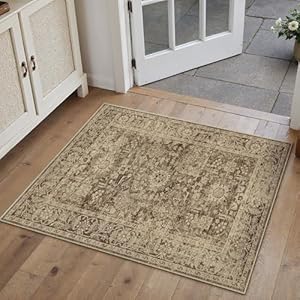 Brown 2x3 Entryway Area Rug Machine Washable Doormat Kitchen Vintage Distressed Non Slip Carpet Indoor Traditional Floral Accent Throw Small Rug for Bathroom Office Bedroom Living Dining Roo