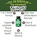 Lymphatic Drainage Supplement. 7-in-1 Lymph System Support Capsules to Detox & Cleanse. With Vegan Ingredients Echinacea Root, Red Clover Blossom, Burdock Root, Red Root, Licorice Root for Women, Men