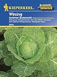 Gemüsesamen - Wirsing Goldvital (Butterkohl) von Kiepenkerl
