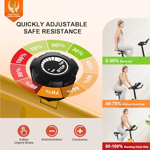 Exercise Bikes for Home,Indoor Cycling Bike with Adjustable Friction,Brake Pad Resistance Silent Belt Drive,330lbs Weight Capacity &Upgraded Version Seat for Home Cardio&Weight Loss(Classical Exercise Bikes Plus)