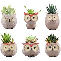 Macetas Para Cactus Originales Lewondr 6PZS Macetas Decorativas para Flores y Plantas, 6.4 cm Alta Juego de Tiestos Pequeños de Forma Búho de Cerámica con Drenaje para Suculentas Cactus para Mesa Jardín Oficina, Kit 2