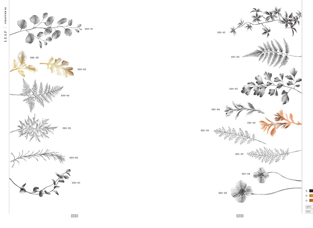 Botany 植物と装飾素材集 Ingectar E 本 通販 Amazon