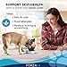 Forza10 Dermo Allergy Dog Food, Dog Food for Allergies and Itching, Dry Dog Food for Skin Allergies, Fish Flavor Sensitive Stomach Dog Food, Sensitive Stomach Dog Food Adult Dogs All Breeds, 6 Pounds