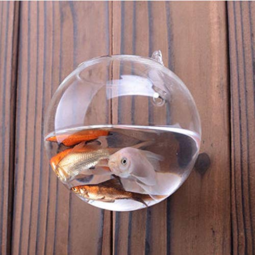 Creativo trasparente in vetro borosilicato appeso