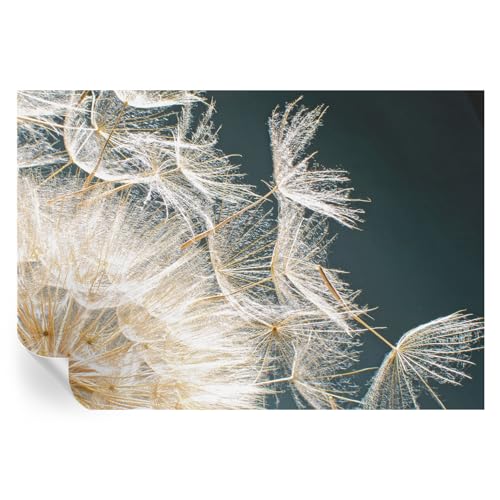 Vinilos y murales autoadhesivos de 152x104 cm con estampados florales 2