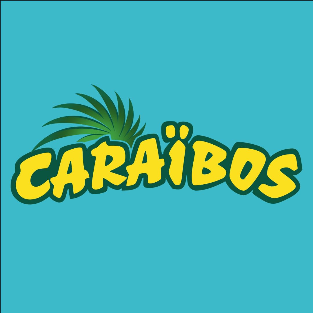 Caraïbos Boisson Saveur Litchi, Canette 33cl, Lot de 24
