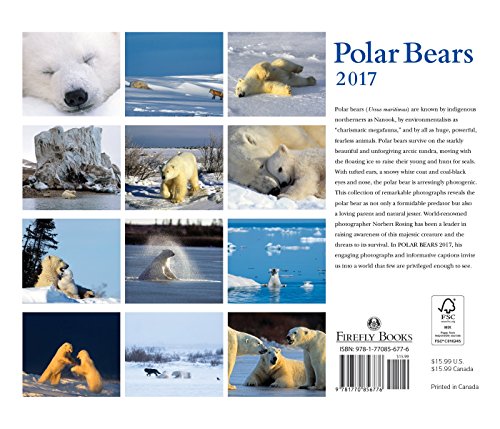 Polar Bears 2017 Calendar