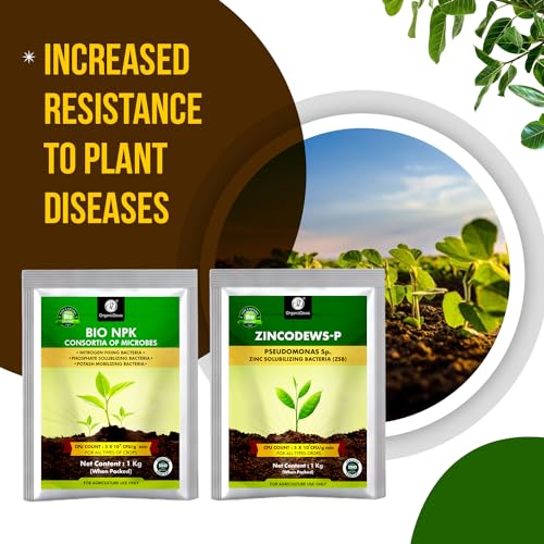 Image of OrganicDews Bio NPK Consortia + Zinc Solublizing Bacteria 1 Kg Combo Inoculum Fertilizer for Plants - Soil Fertility, Faster Plant Growth and Increases the Yield