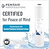 Pentair Pentek CBC-BB Big Blue Carbon Water Filter, Whole House Heavy Duty Carbon Block Replacement Cartridge with Bonded Powdered Activated Carbon (PAC) Filter, 10 x 4.5, 0.5 Micron, White