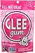 Glee Gum Bubblegum Flavor Pouch, 2.9 Ounce (75 Pieces)