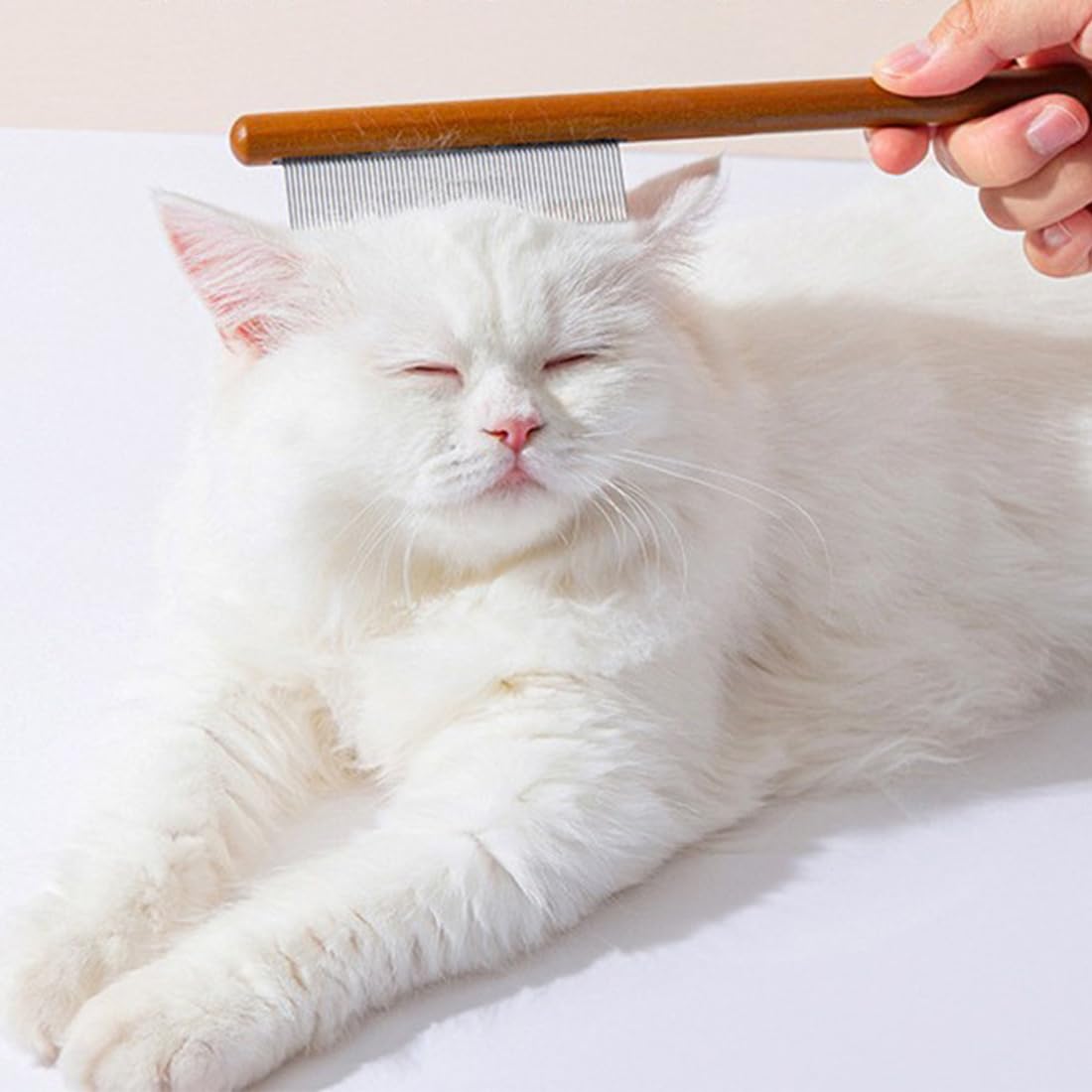 3 pièces Brosse Chat Poil Long, Brosse Chien Poil Long, Peigne Chat Poil Long, Brosse pour Chat en Acier Inoxydable, pour Enlever Les Poils Noués ou Morts