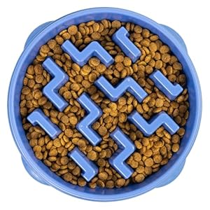 Outward Hound Large Slow Feeder Bowl, Puzzle Maze for Fast Eaters, Medium to Large Dogs, Helps Prevent Bloat & Aid Digestion, Holds 4 Cups Wet or Dry Food, Non-Slip, Made Without BPA, Blue