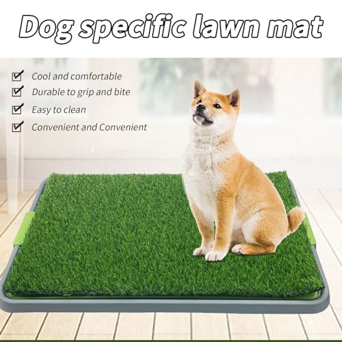 Hundeklo, 68 x 43 cm Welpentoilette Rasen, Wiederverwendbare Hundetoilette mit waschbarer Tablett, hochdurchlässiger Kunstrasen Trainingsunterlagen für Hunde für Zuhause, Wohnung Hundetrainingsplatz