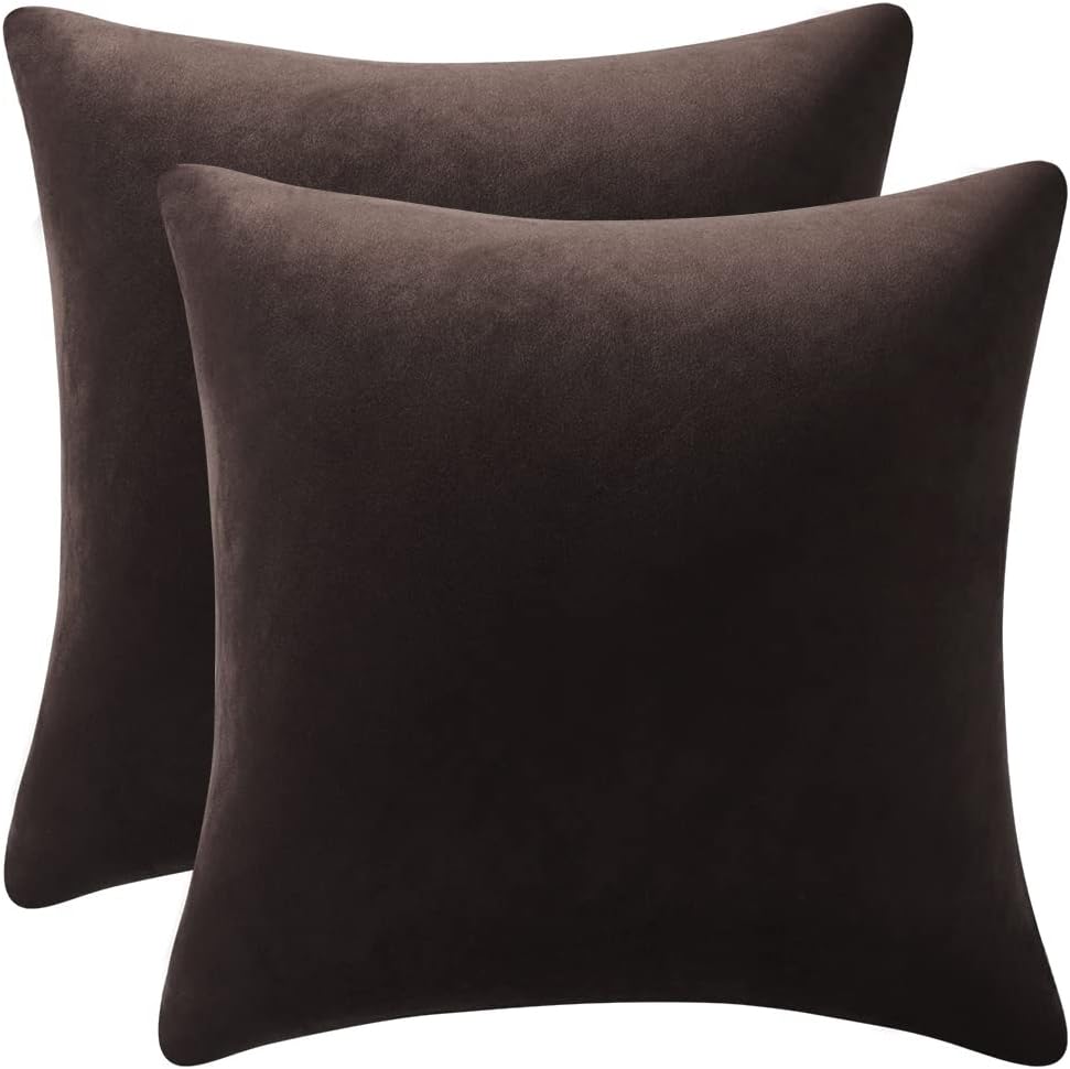 DEZENE Decorative Pillow Cases 20x20 Chocolate Brown: 2 Pack Cozy Soft Velvet Square Throw Pillow Covers for Farmhouse Home Decor Chocolate Brown 20 x 20-Inch