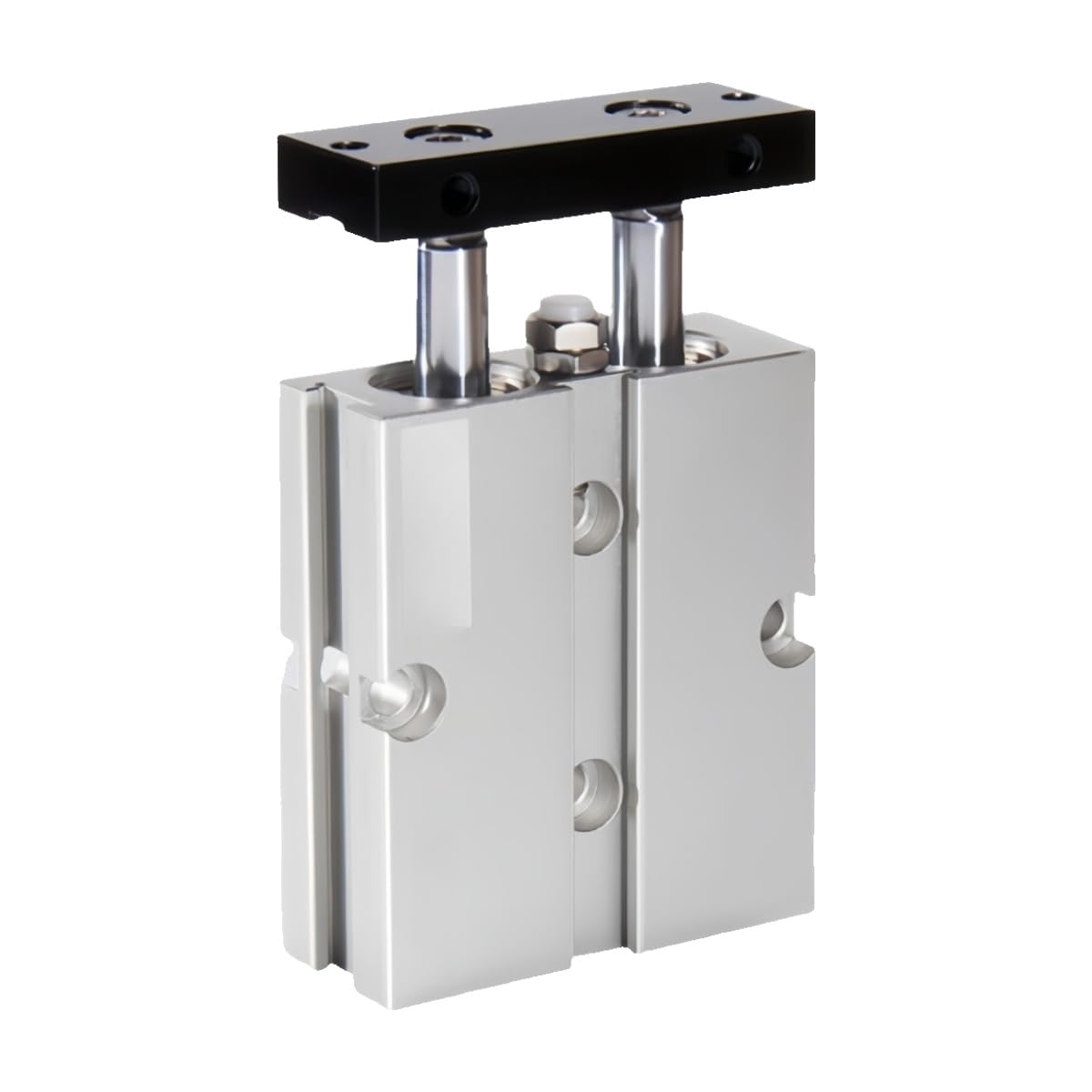 Double-Shaft Double-Rod Cylinder TN10/16/20/25 * 10X15x20x25X30x40x50x60X80-S(TN20X125S)