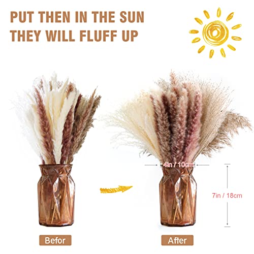 Weldomcor Set di 65 fiori secchi decorativi Erba