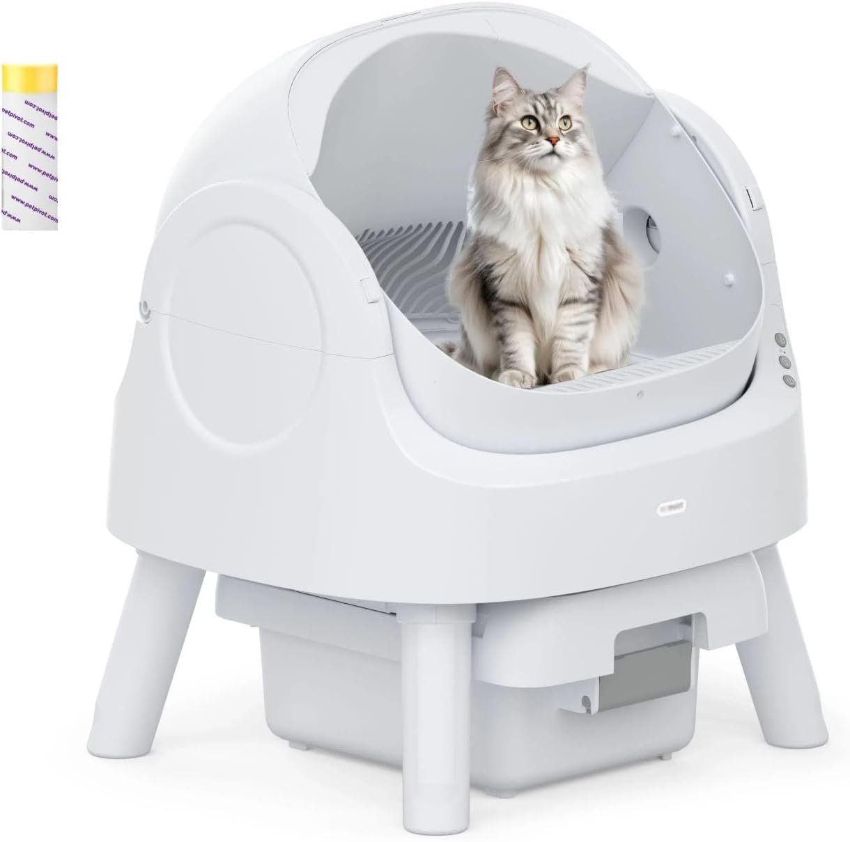 Kitten Litter Box The 12 Best Self-Cleaning Litter Boxes For