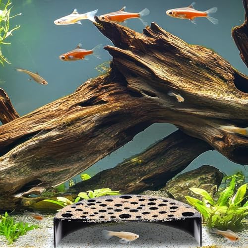 TIESOME 2 Stück Garnelen Versteck aus Plastik, Kreative Garnelen Verstecke Unterirdisch Halbkreis Höhle ABS Aquarium Zubehör für Kleine Fische zum Spielen Ausruhen(Schwarz)