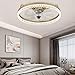 Ventilatore da soffitto per bambini con telecomando a LED completamente dimmerabile 3 velocità del vento Modalità di illuminazione Lame acriliche invisibili Scocca in metallo Ventilatore a basso profi