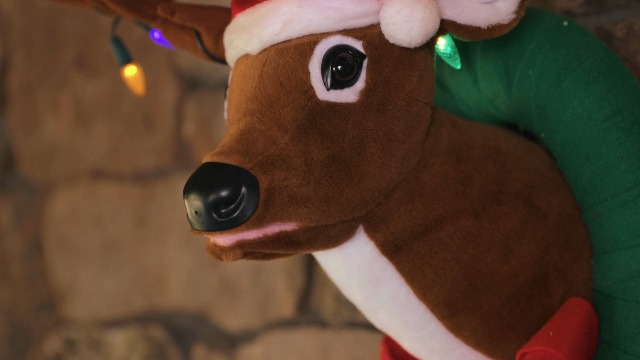 Amazon.com: Mr. Christmas 17